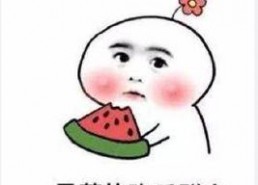 搞笑沙雕吃瓜娱乐圈小说,沙雕吃瓜，笑料横生