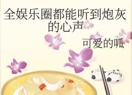 小说娱乐圈心声吃瓜,揭秘明星背后的真实生活与心酸历程