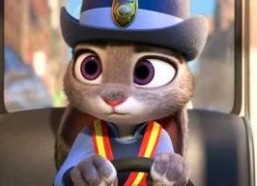 娱乐朱迪吃瓜,娱乐圈幕后大揭秘