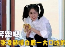 娱乐吃瓜酱白鹿,娱乐吃瓜酱的甜蜜蜕变之旅