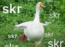 网上流行的吃瓜是什么意思,围观娱乐圈背后的真相