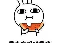 娱乐圈的瓜vs我吃的瓜图片